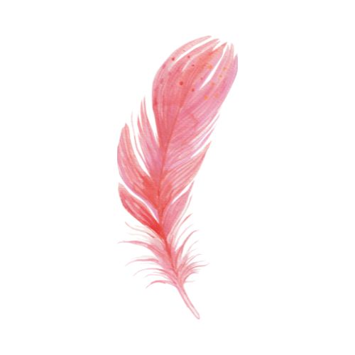señales de los ángeles plumas